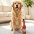 Barkweiser Dog Toy