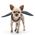 Bat Wings Dog Costume