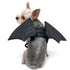Bat Wings Dog Costume