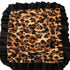 Baylee Big Cat Dog Blanket Leopard/Black