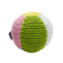 Beach Ball Crochet Dog Toy