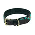 Beaded Dog Collar Aspen
