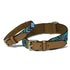 Beaded Limited Edition Dog Collar Saint Tropez