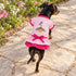 Bee Happy Ruffle Dog Dress