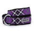 Bias Plaid Dog Collar Purple
