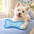 Birthday Boy Bone Dog Toy