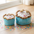 Birthday Boy Cake Dog Toy