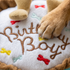 Birthday Boy Cake Dog Toy