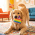 Birthday Cake Slice Dog Toy