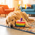 Birthday Cake Slice Dog Toy