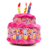 Birthday Cake Tough Dog Toy Pink
