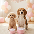Birthday Girl Cake Dog Toy