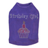 Birthday Girl Rhinestone Dog Tank