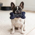 Black Checker Chewy Vuiton Bone Dog Toy
