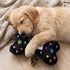 Black Monogram Chewy Vuiton Bone Dog Toy