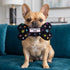 Black Monogram Chewy Vuiton Bone Dog Toy