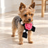 Black Polka Dot Flower Dog Scarf