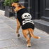 Black Skull Dog Sweater