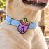 Boba Ube Jiby Dog Charm