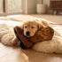 Brown Cowboy Boot Dog Toy