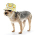 Bucket Dog Hat Lemonade