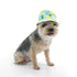Bucket Dog Hat Lemonade Blue