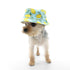 Bucket Dog Hat Lemonade Blue