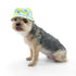 Bucket Dog Hat Lemonade Blue