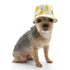 Bucket Dog Hat Pineapple