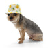 Bucket Dog Hat Pineapple