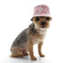 Bucket Dog Hat Sweet Floral