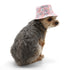 Bucket Dog Hat Sweet Floral
