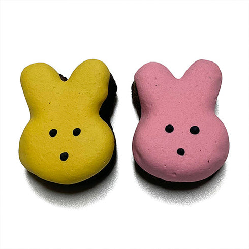 Bunny Brownie Bites Dog Treats