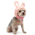 Bunny Dog Hat