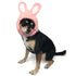 Bunny Dog Hat