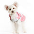 Bunny Dog Raincoat
