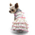 Butterfly Dog Dress