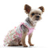 Butterfly Dog Dress