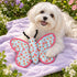 Butterfly Tough Animal Dog Toy