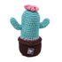 Cactus Crochet Dog Toy