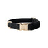 Canvas Dog Collar 'Black'