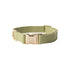 Canvas Dog Collar 'Green'