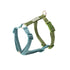 Canvas Dog Harness 'Blue/Green'