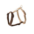 Canvas Dog Harness 'Brown/Tan'