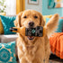 Casamuttgos Tequila Dog Toy