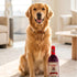 Cavalier Sauvignon Wine Bottle Dog Toy