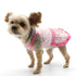 Cherish Heart Dog Dress
