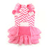 Chevron Dog Dress