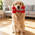 Chewlulemon Bone Dog Toy