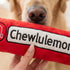 Chewlulemon Yoga Mat Dog Toy